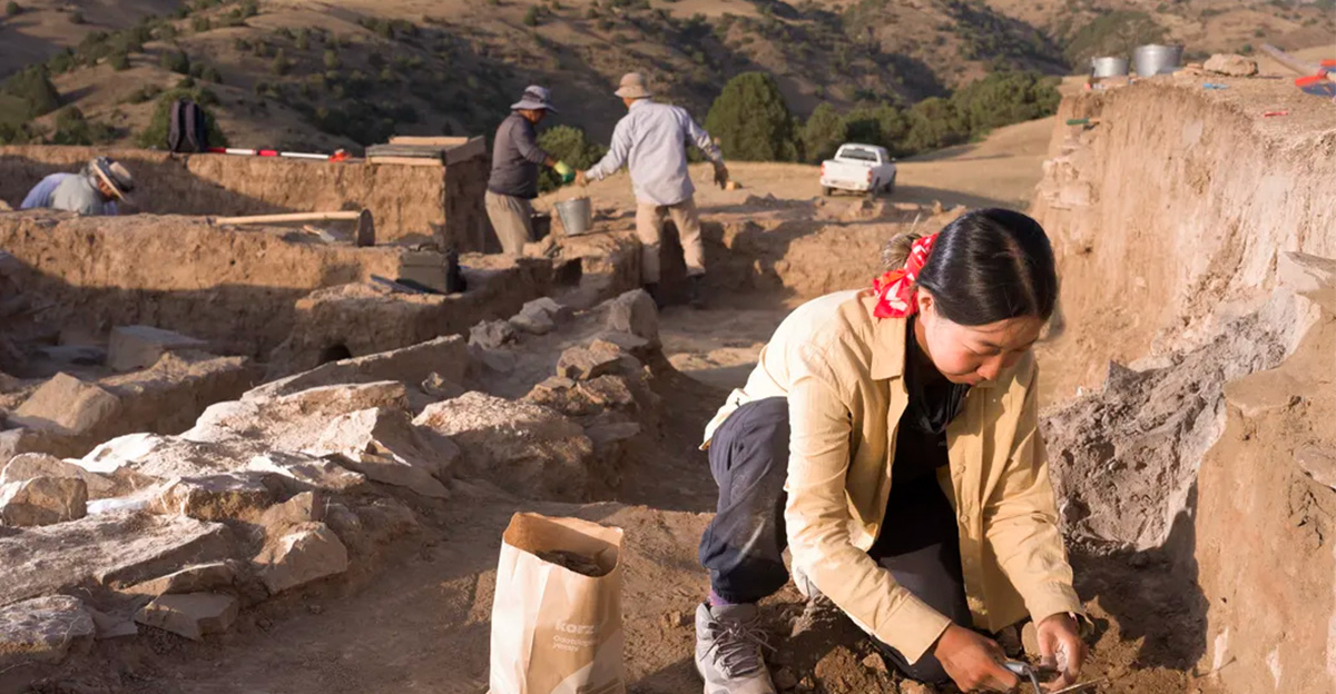 Excavators uncover a medieval Silk Road metropolis high in the